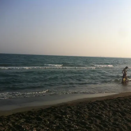 Sandy 8