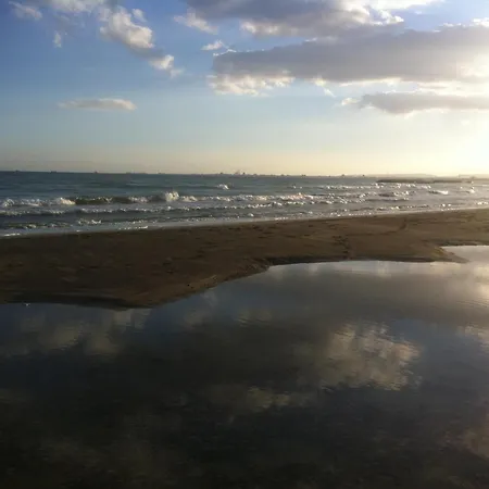 Sandy 8