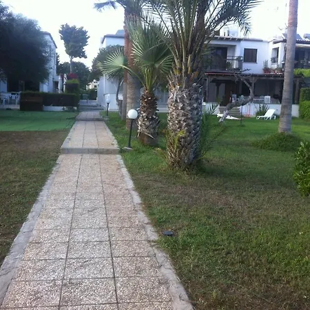 Sandy 8