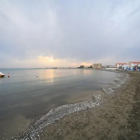 Sandy 8 *
