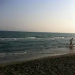 Sandy 8