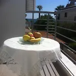 Sandy 8 *